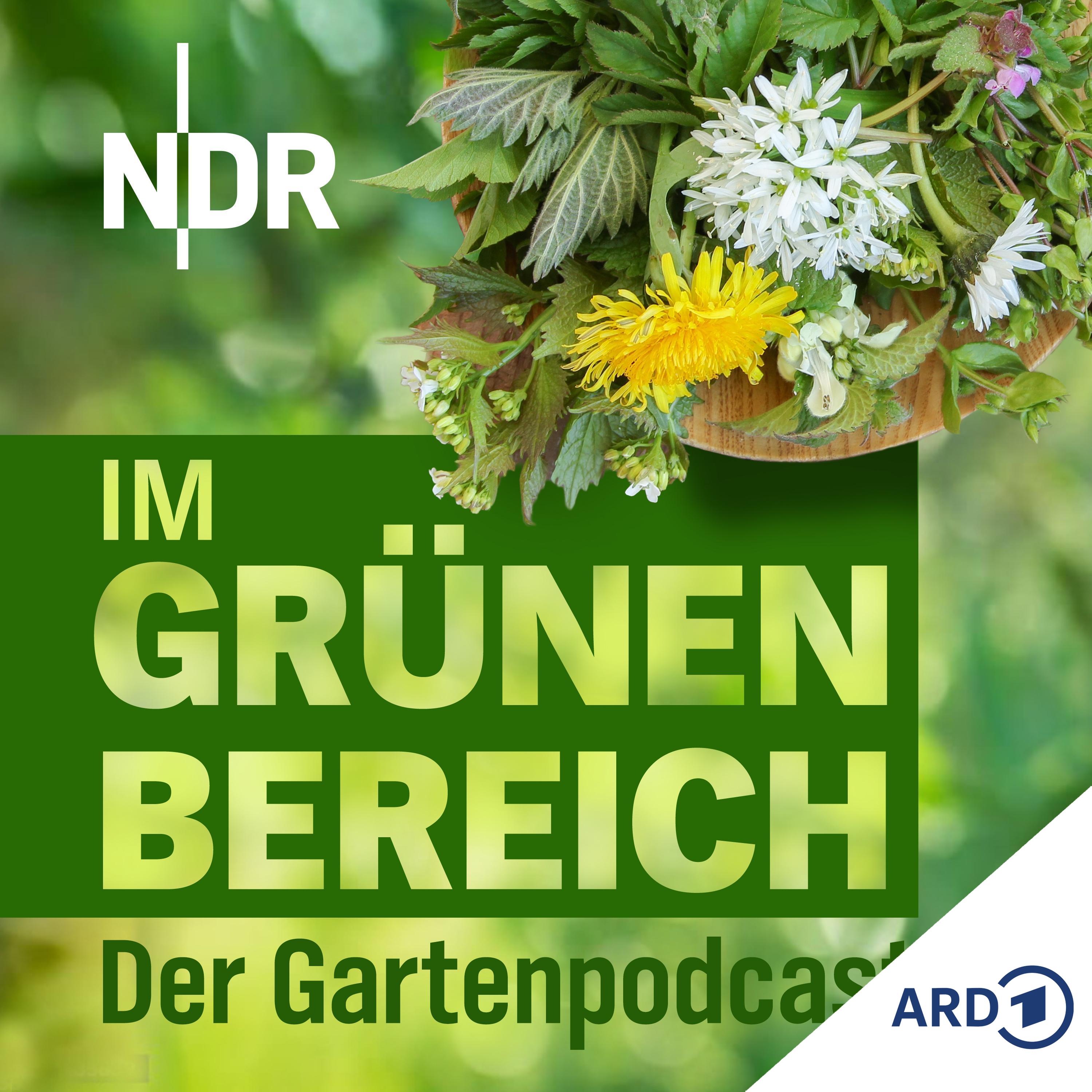 Play Tipps, die gegen Unkraut in Rasen und Beeten langfristig helfen