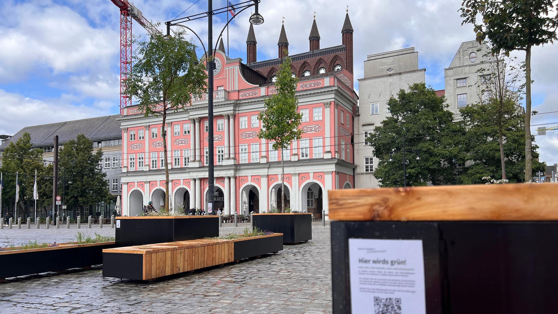 Begrünung am Neuen Markt in Rostock: Wie kommt sie an?