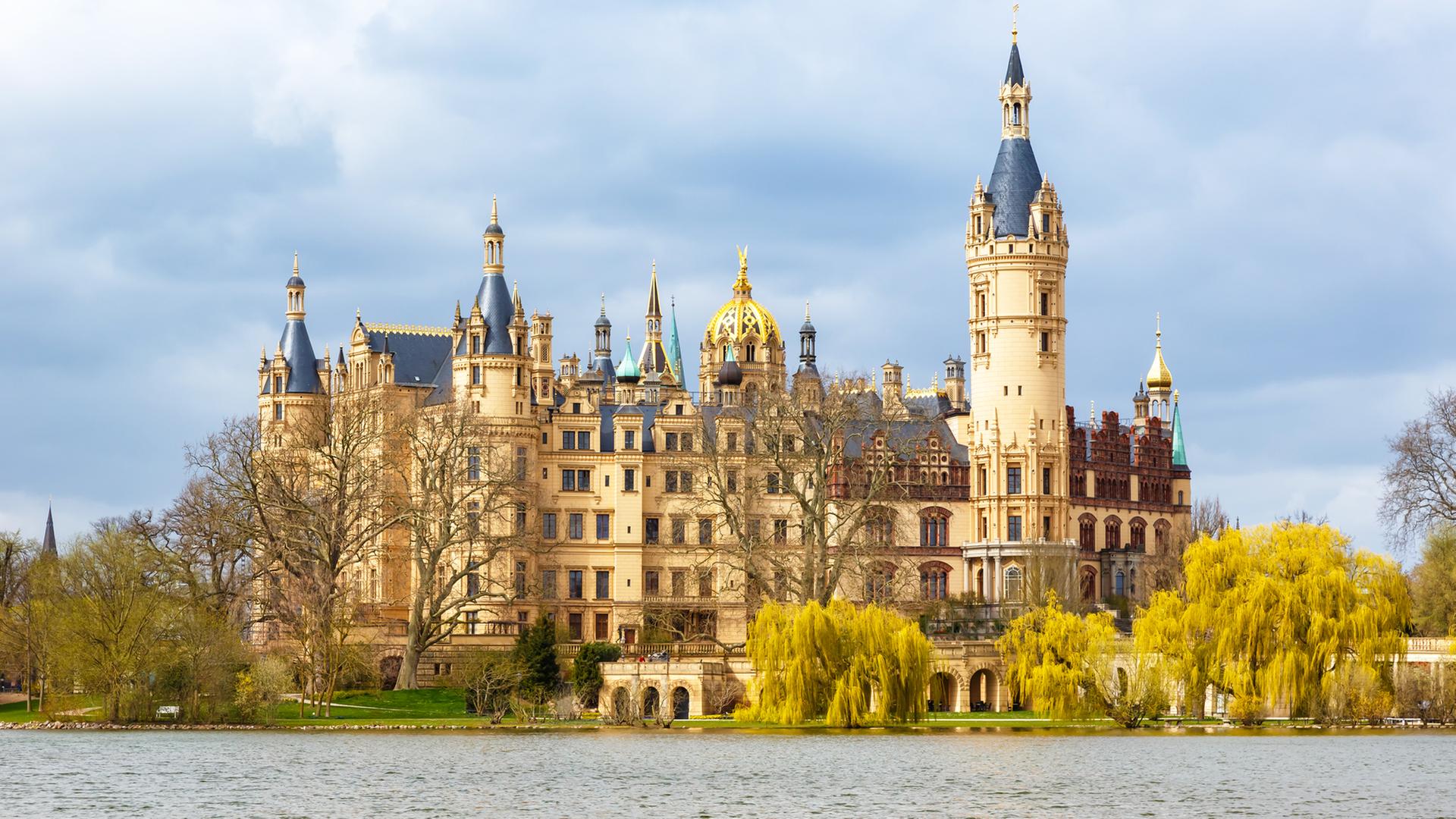Bienenstock kehrt zurück auf das Schweriner Schloss
