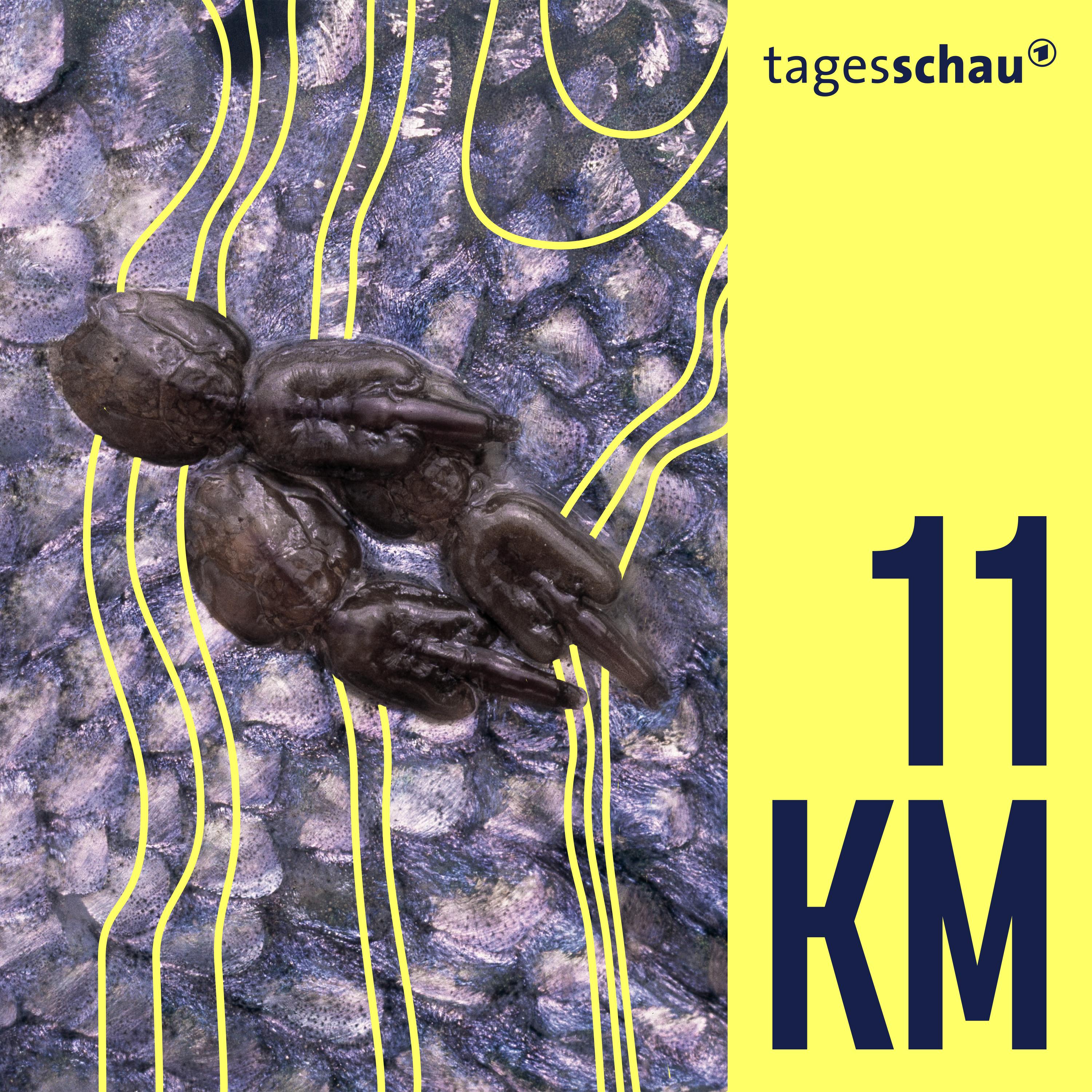 11KM: der tagesschau-Podcast