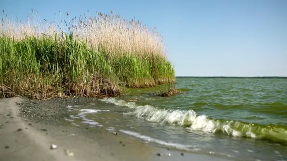 Bucht an einem Gewässer. | Screenshot Bucht an einem Gewässer.