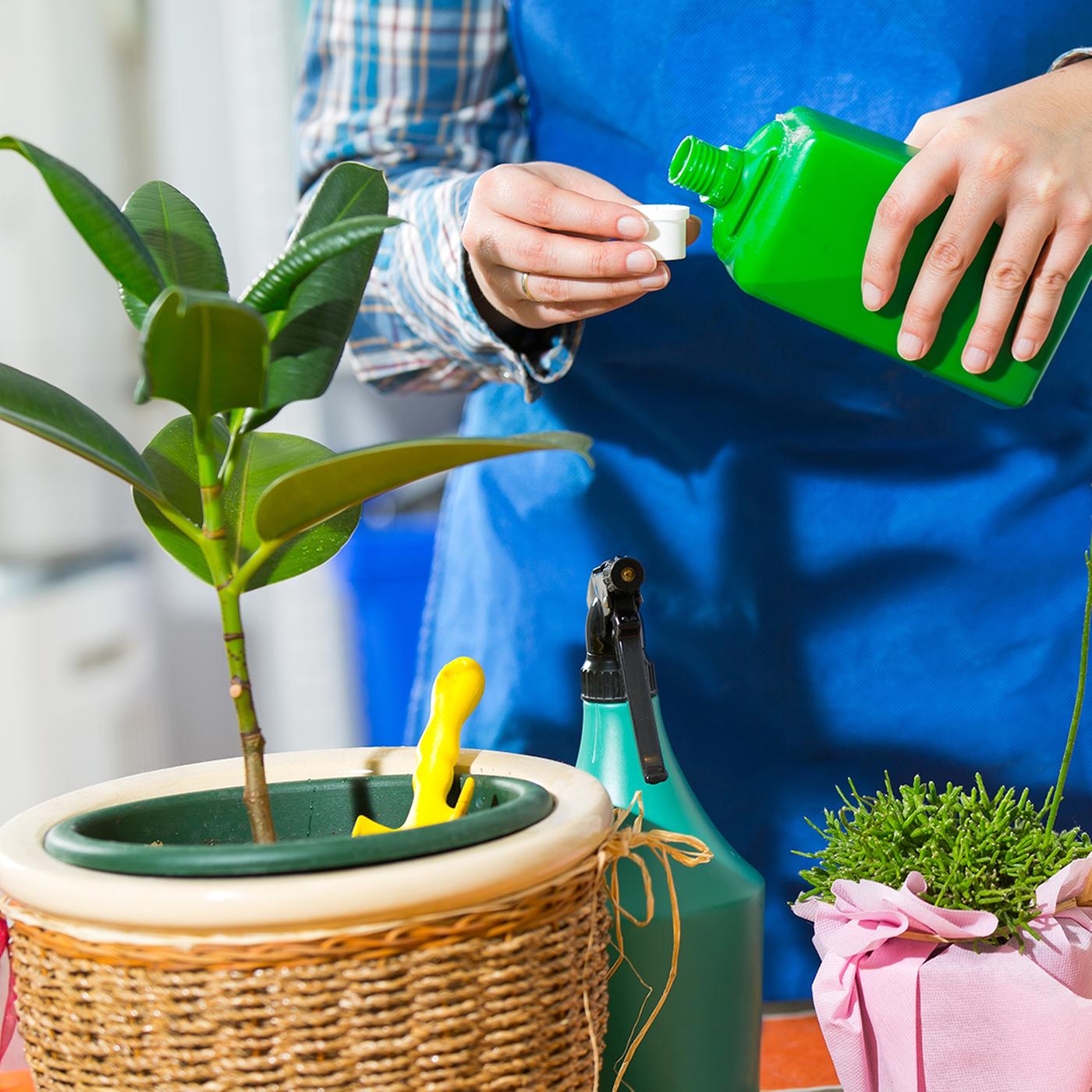 dünger für gartensträucher baumbad Flüssigdünger Vermicompost 1 Liter / Wurmkompost Baum Dünger NPK  1-1-1