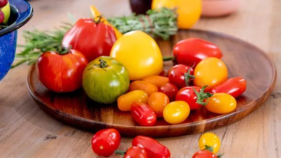 Verschiedene bunte Tomaten liegen in einer großen Schale.