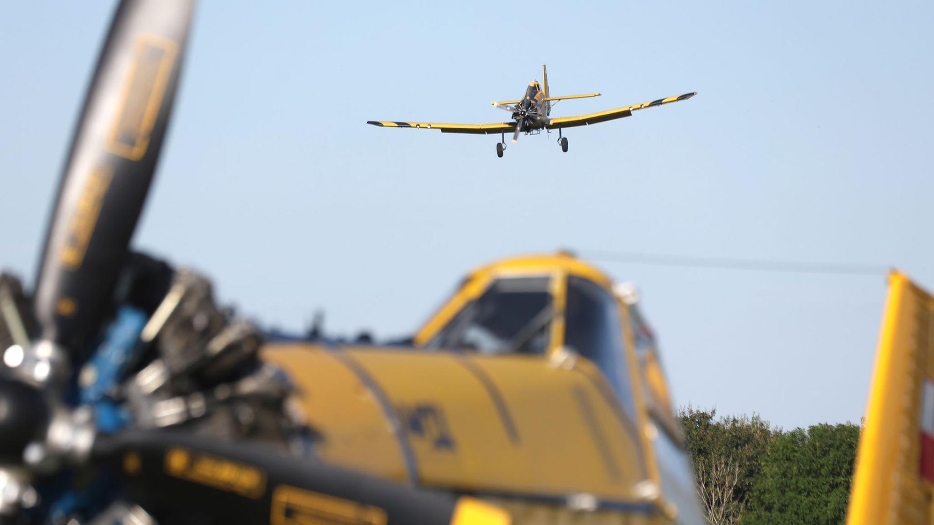 Ein Löschflugzeug landet am Flugplatz Ballenstedt neben dem Harzer Löschflugzeug 
