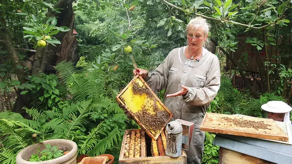 500 Kilo Honig pro Jahr produzieren Alke Zimmermanns Bienen auf dem "Fabelhof" in Worpswede.