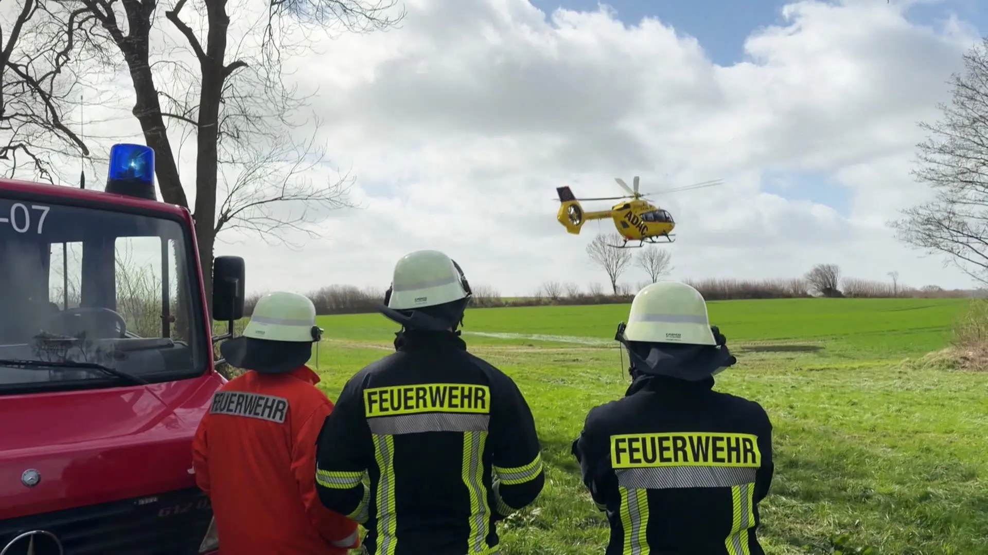 Flensburg: Drei Tote durch umgestürzten Baum