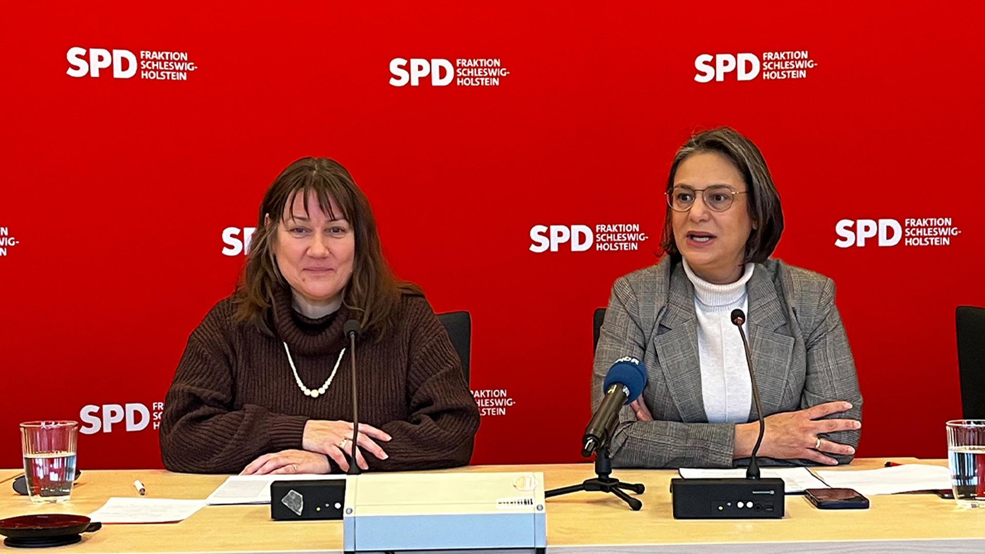 SPD will Änderungen am Landeshaushalt: Das würden die Pläne kosten