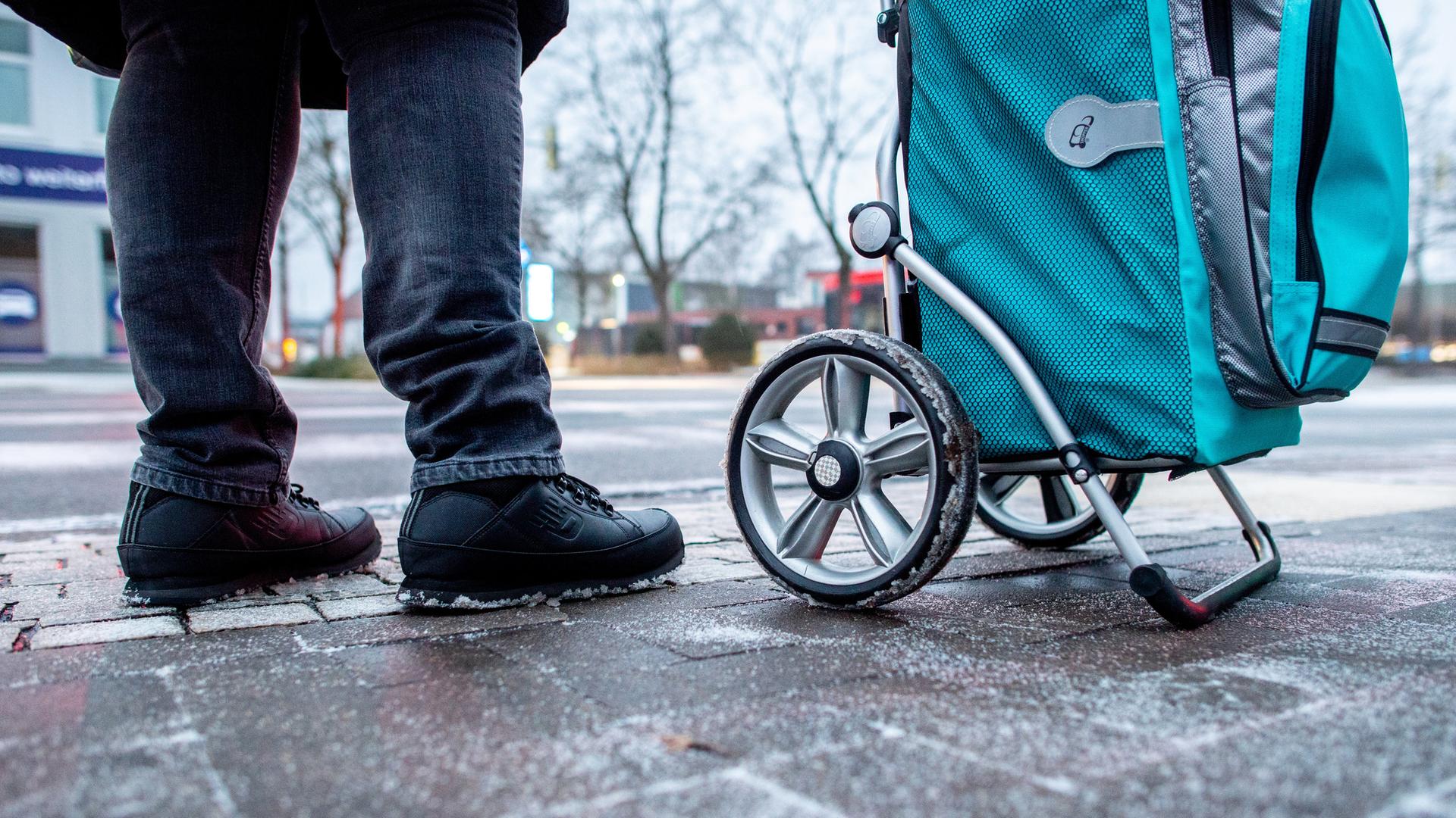 Eine Frau steht bei leichtem Schneefall mit ihrem Handwagen an einer Kreuzung. | dpa-Bildfunk, Hauke-Christian Dittrich