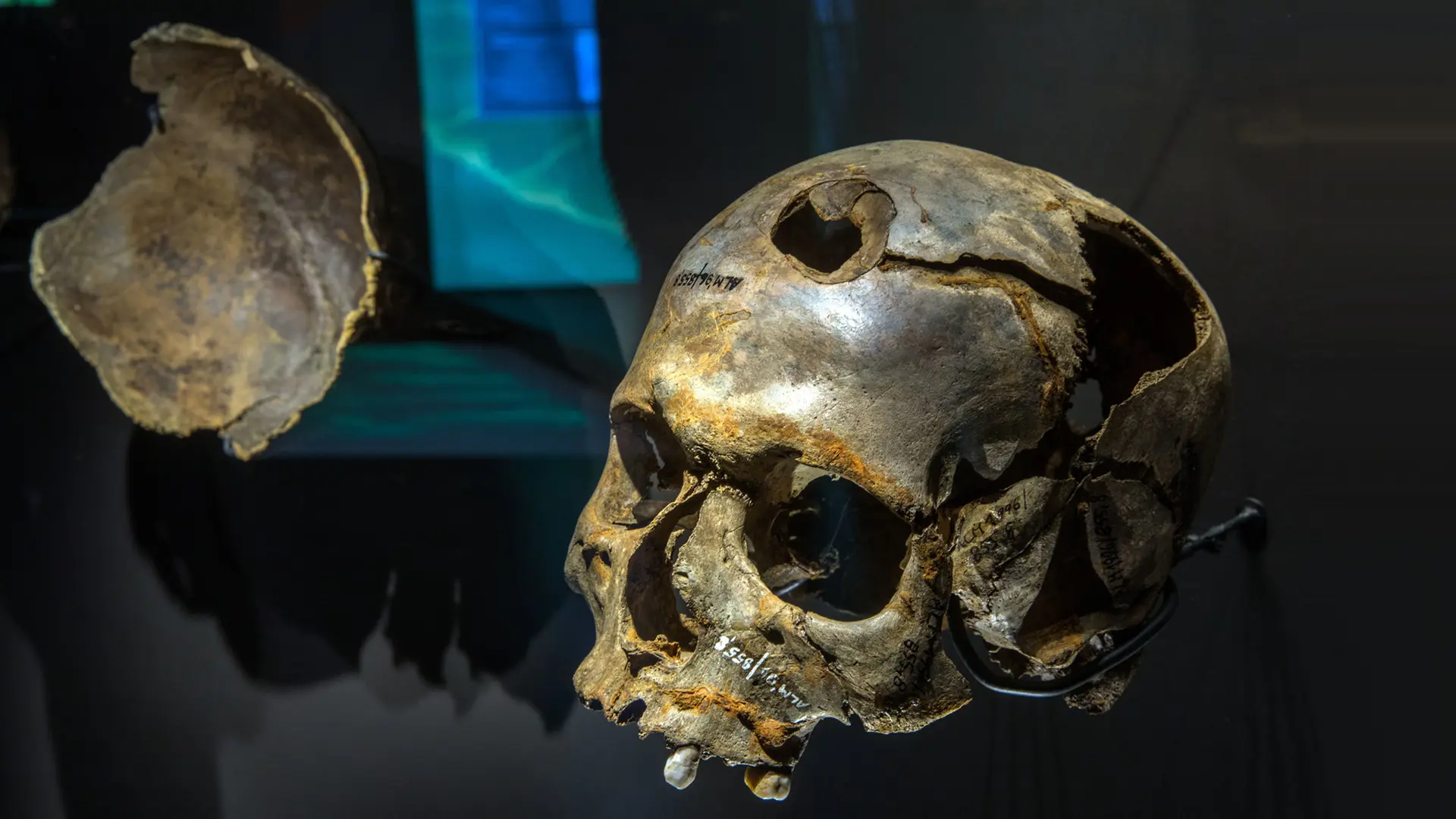 Tollense Valley: 4,000 people fought 3,300 years ago