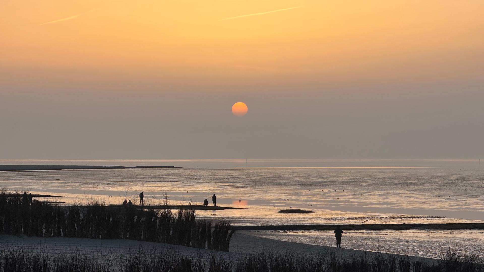 An einem Strand schauen Menschen in den Sonnenuntergang. | NDR, Thees Jagels