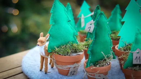 Winterwald-Adventskalender aus selbstgebastelten Filz- und Tonkarton Tannenbäumen in Terrakotta-Töpfchen auf einem Tisch im Garten | NDR, Elke Janning Winterwald-Adventskalender aus selbstgebastelten Filz- und Tonkarton Tannenbäumen in Terrakotta-Töpfchen auf einem Tisch im Garten