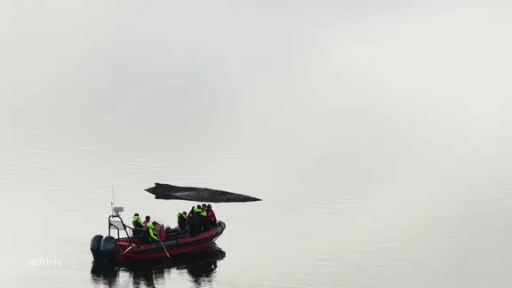 En Schlauchboot nähert sich einem Wal.