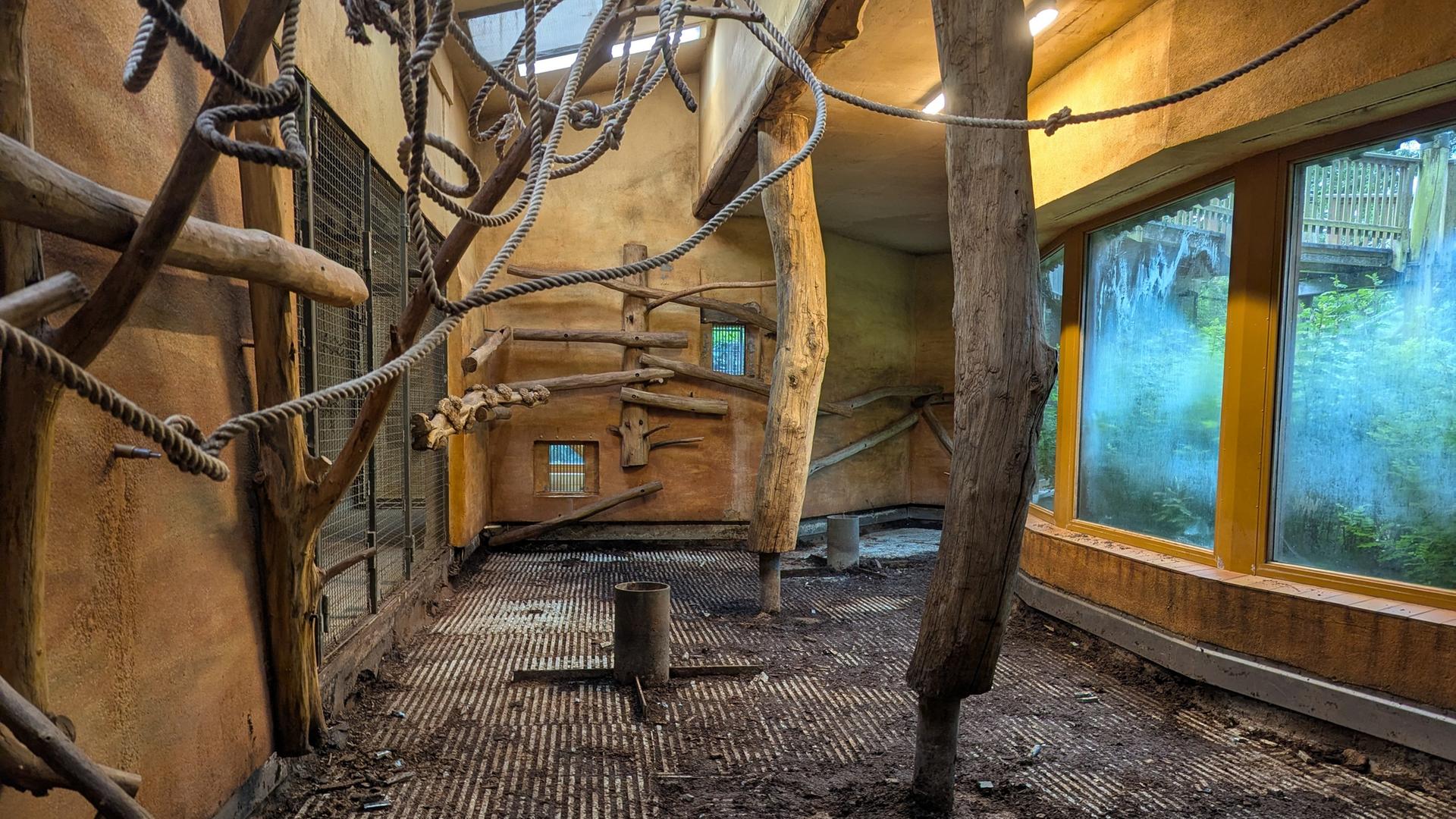 Leere Gehege, neue Pläne: Südamerika-Haus im Zoo Rostock wird umgebaut