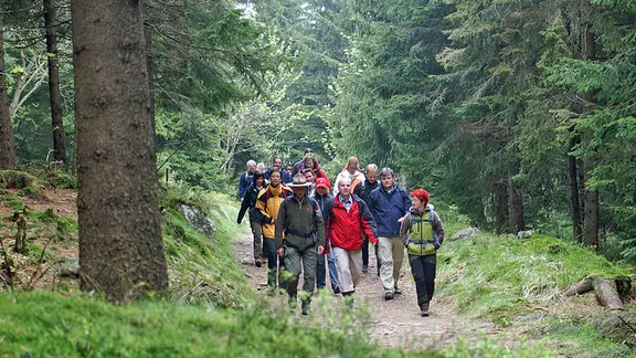 Wanderer auf dem Goetheweg im Harz