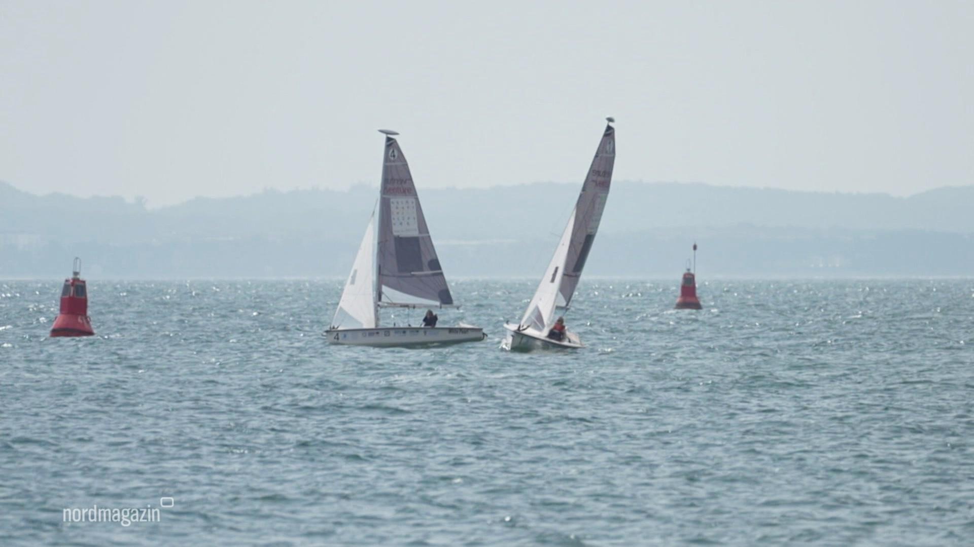 #AlleAnBord - Erste inklusive SailGP Segel-Regatta