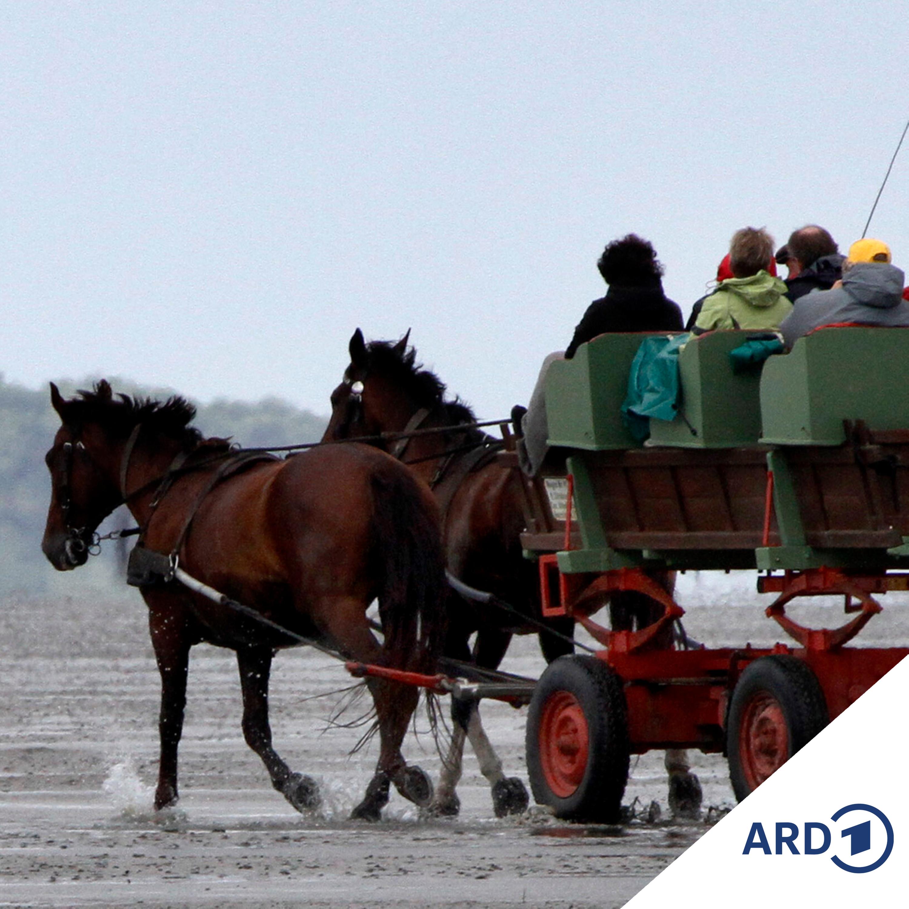 Das Hamburger Hafenkonzert
