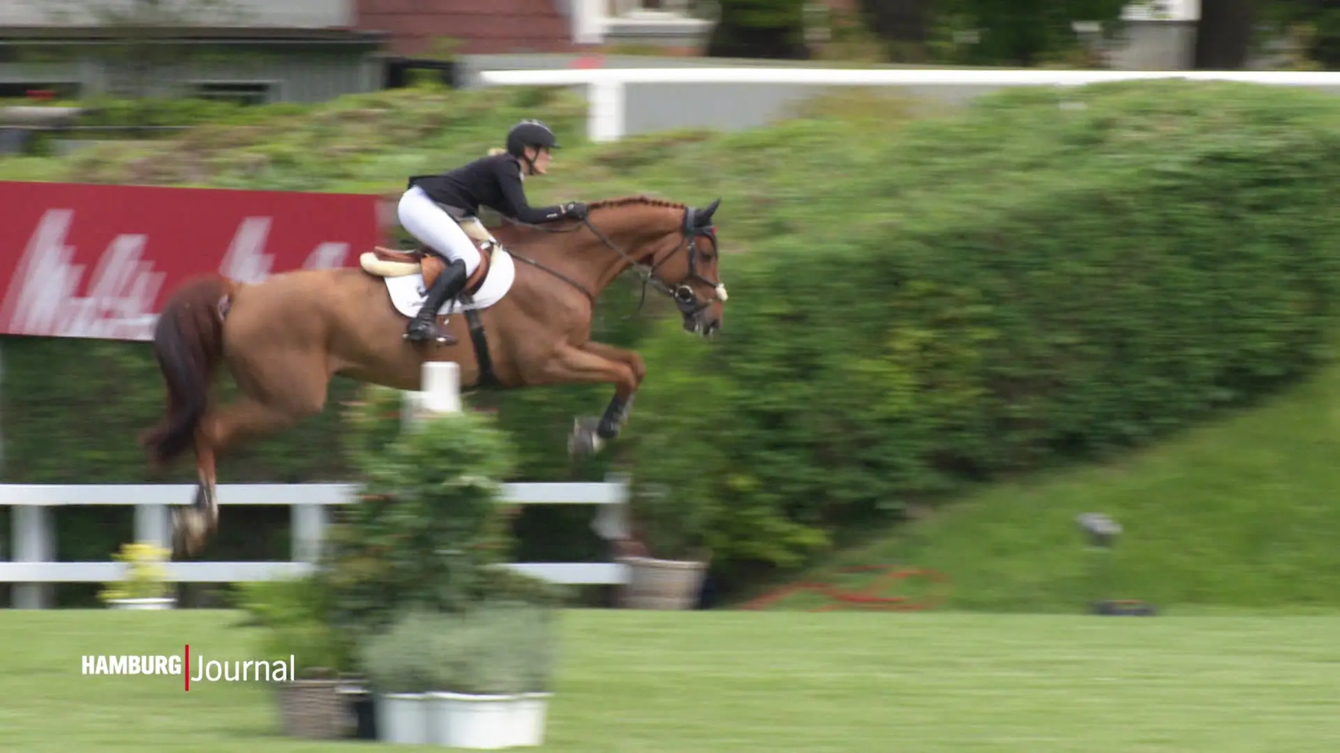 Reitsport: Qualifikationen für Derby in Klein-Flottbek starten