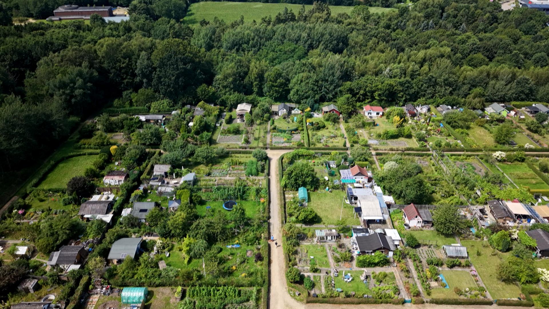 Gießkanne statt Gartenschlauch: Ein Kleingartenverein greift durch