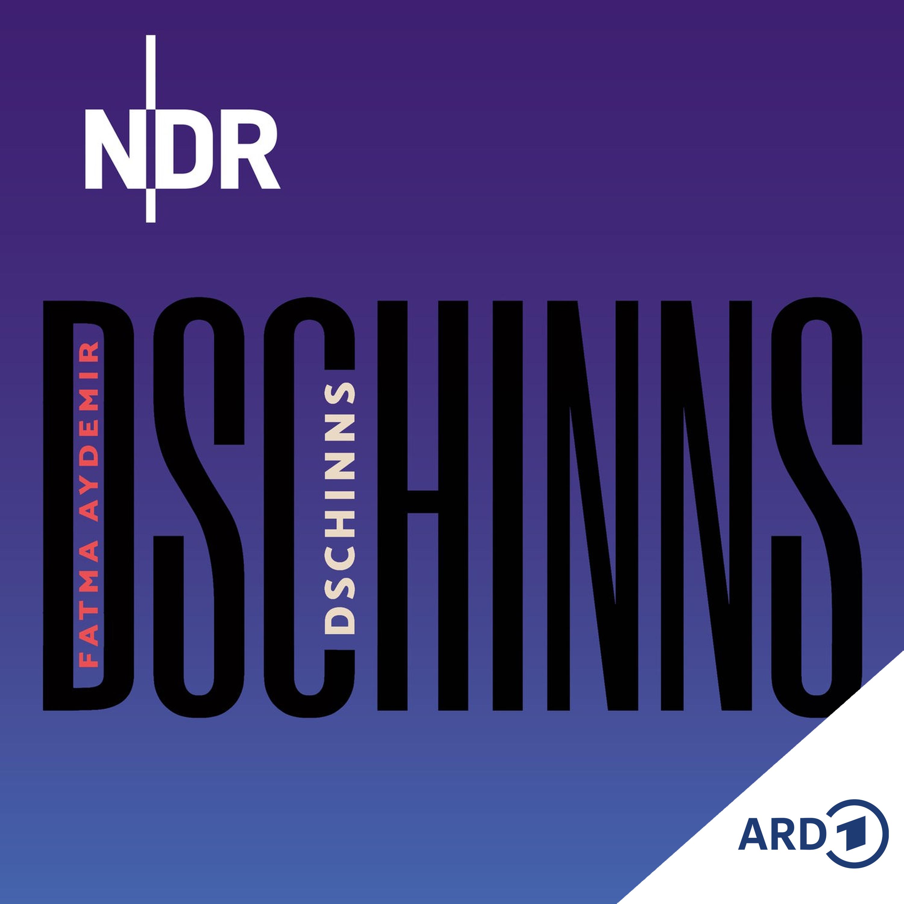 DSCHINNS
