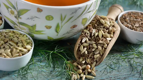 Anis und Kümmel