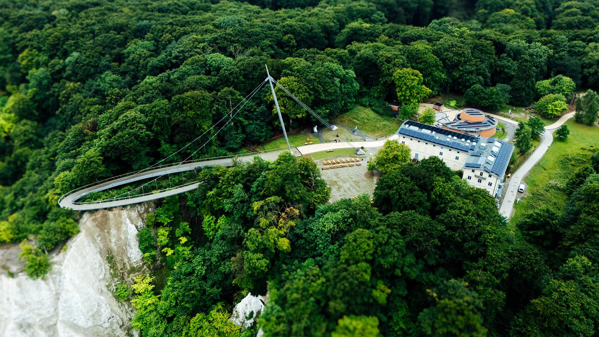 Nationalpark Jasmund feiert 15 Jahre Welterbe Buchenwälder