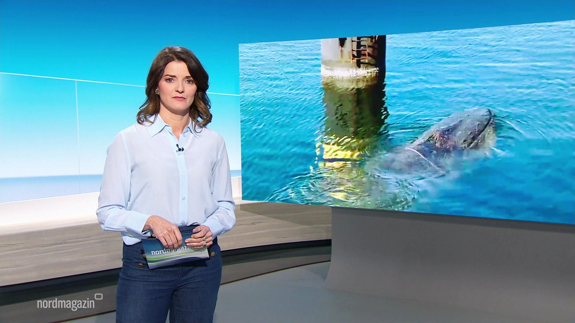 Nordmagazin | 04.03.2026