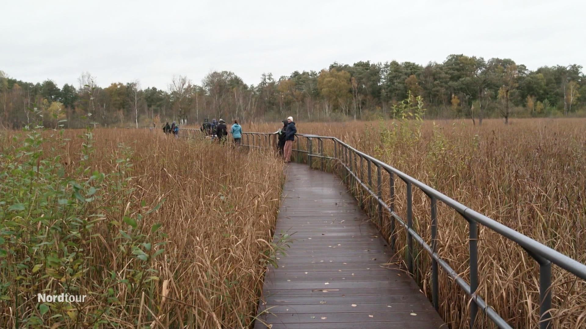 Mehrere Personen laufen über einen Holzsteg durch die Natur. | Screenshot