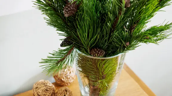 Ideen für natürliche Weihnachts-Deko mit Beeren und Zweigen