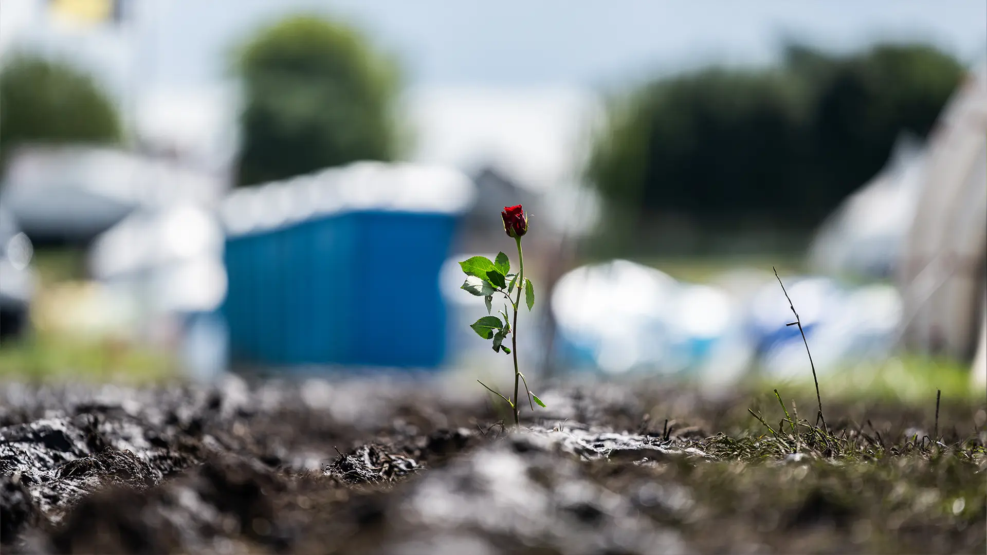 Wacken 2025: So schlammig ist das Festival