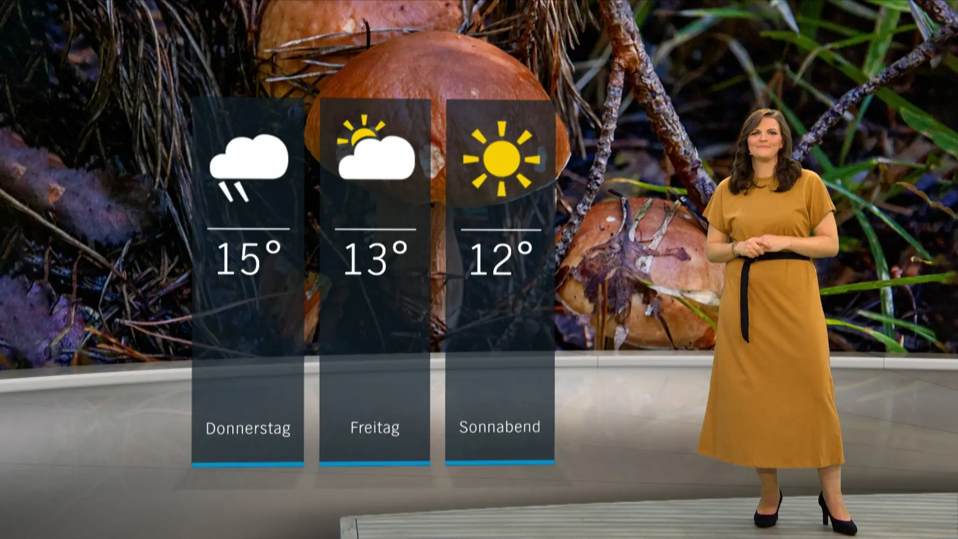 So wird das Wetter in Schleswig-Holstein