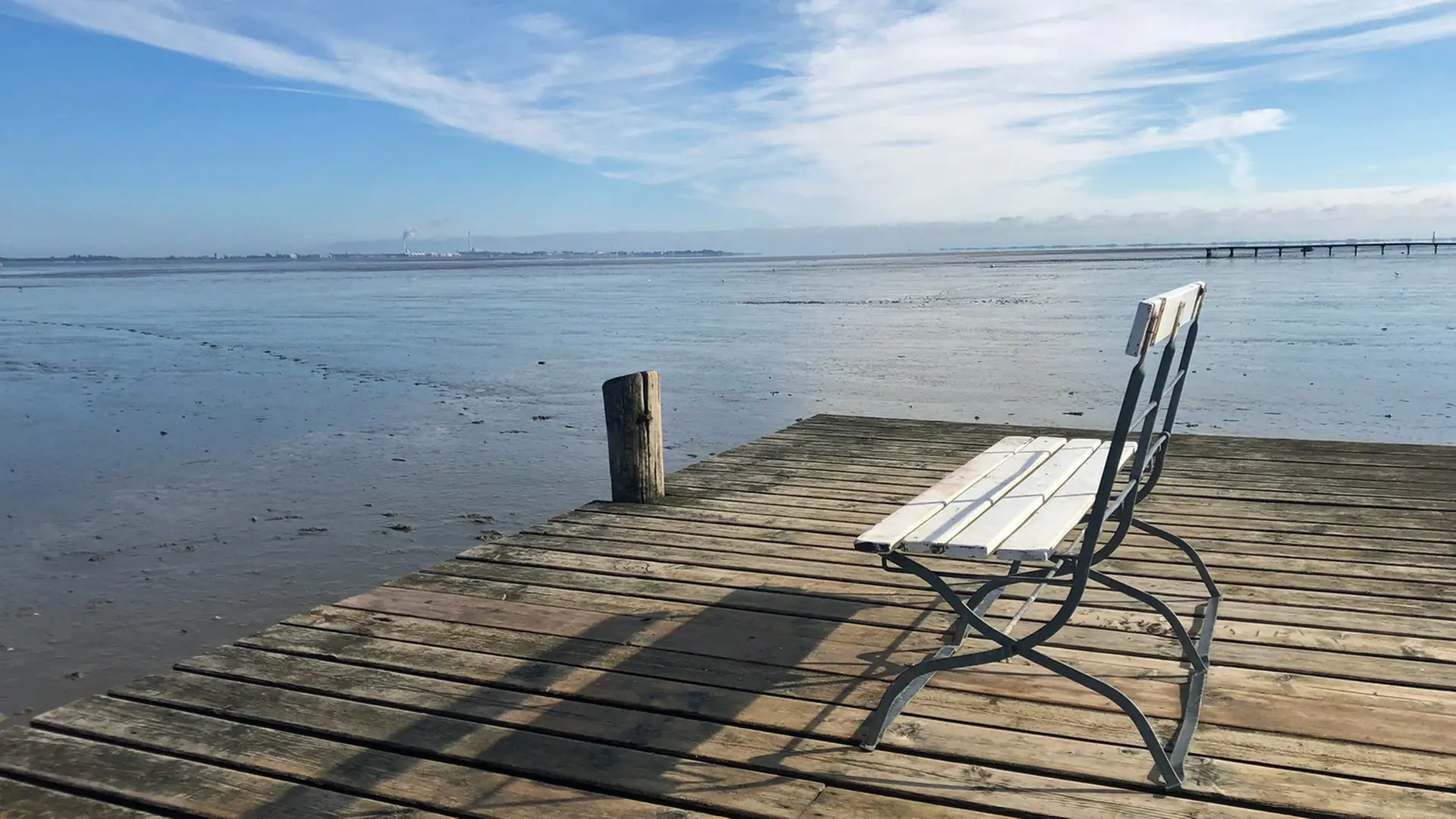 Jade Bay: Cycling and hiking through mudflats, forest and moorland