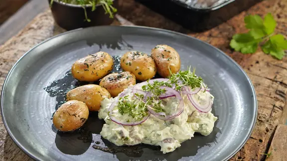 Kartoffel-Rezepte: Vielseitige Gerichte für die Knolle | ndr.de