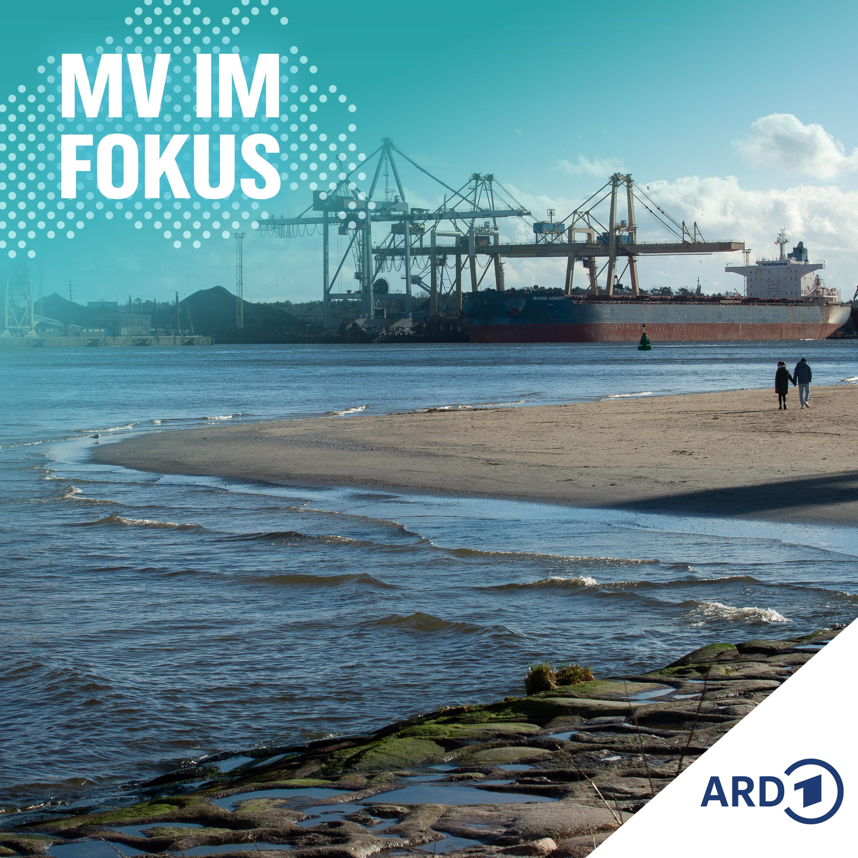 Containerhafen Swinemünde: Gefahr für Usedoms Tourismus? episode artwork