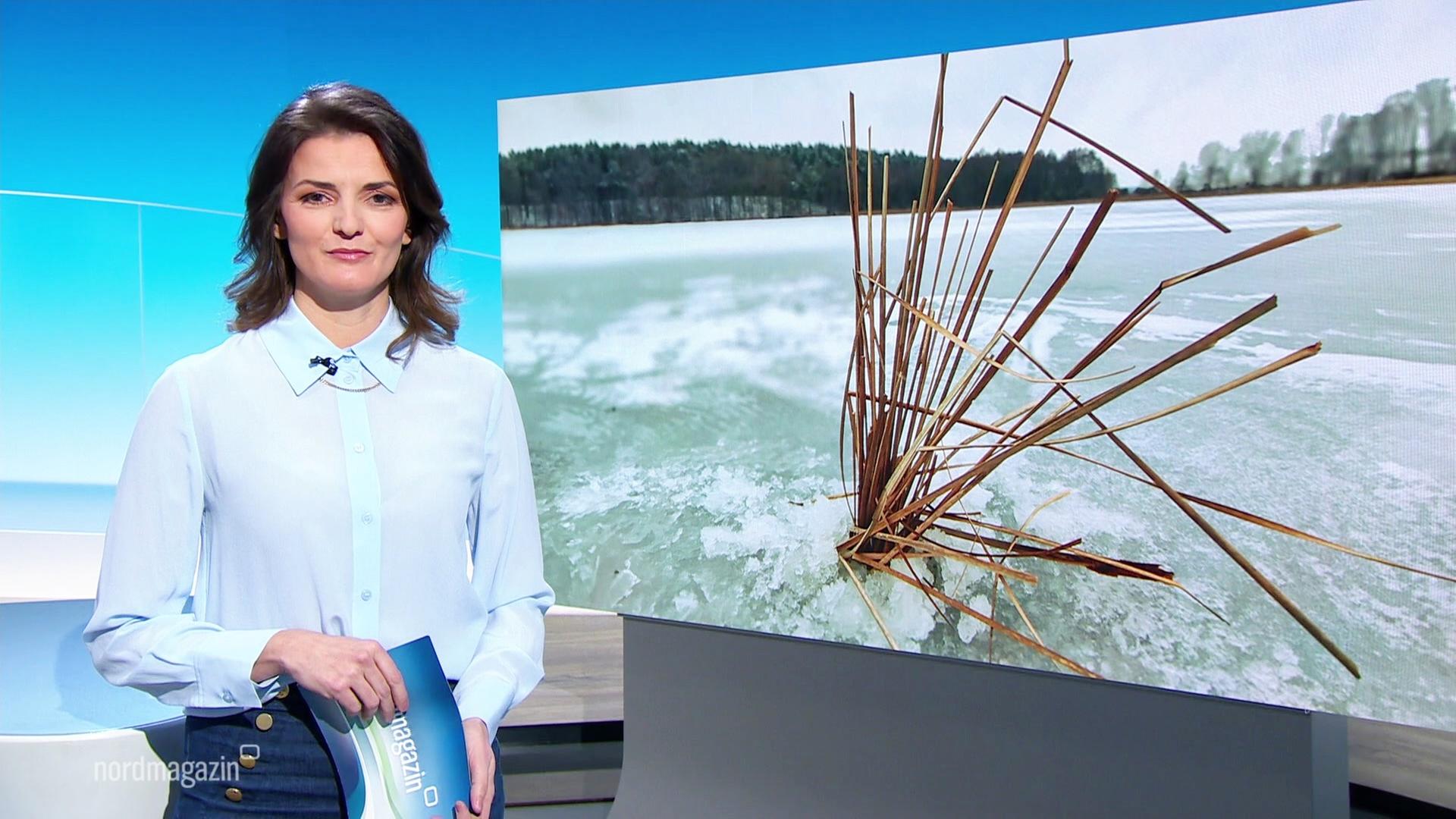 Frauke Rauner moderiert. | Screenshot