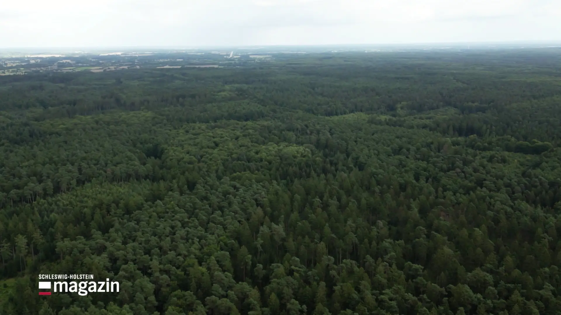 Bald kein Steuerparadies mehr: Sachsenwald wird eingemeindet