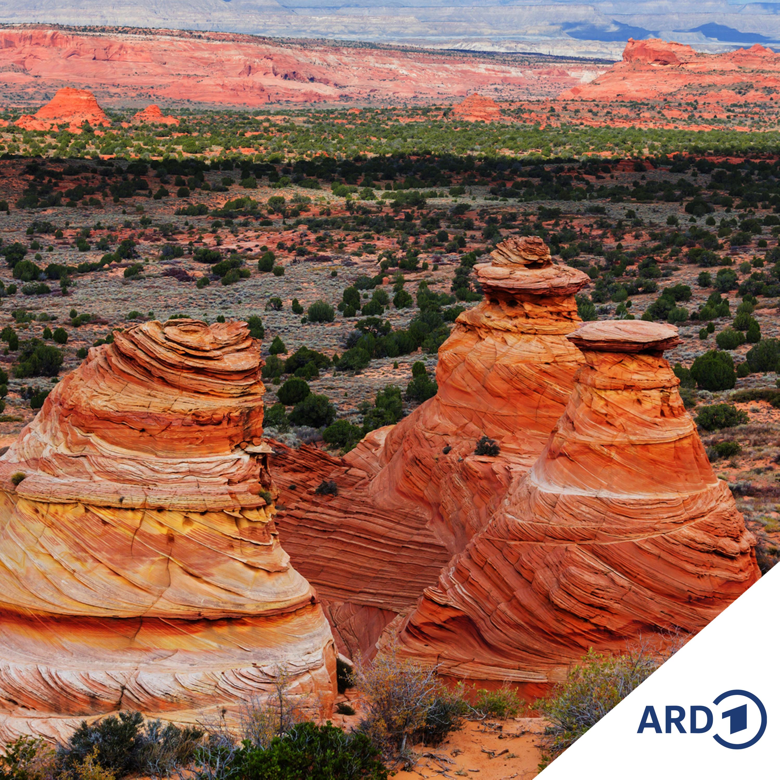 Schöpfungsmythen in Nordamerika - Spinnenfrauen, Kojote und Schildkrötenrücken