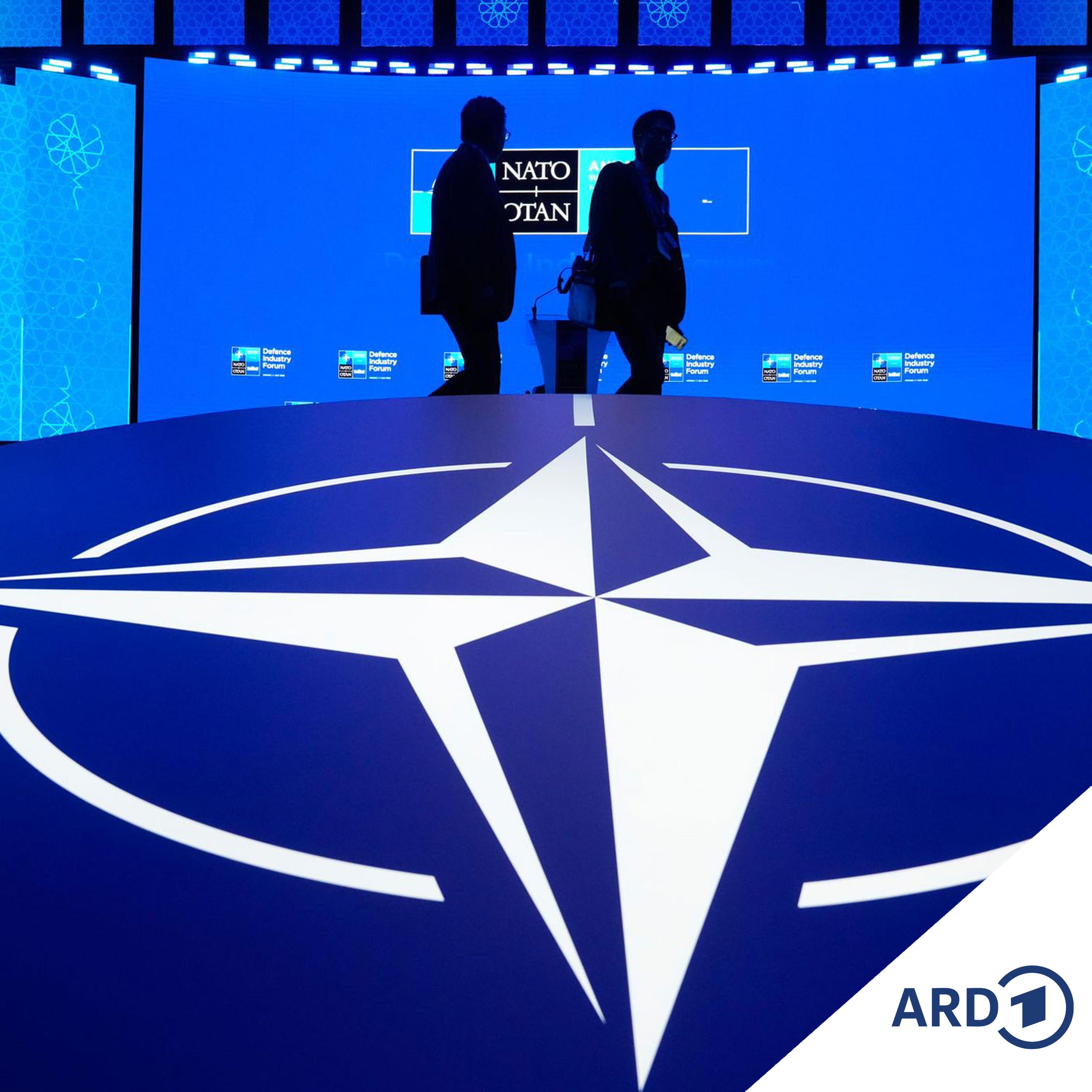 Was vom NATO-Gipfel in Ankara zu erwarten ist episode artwork