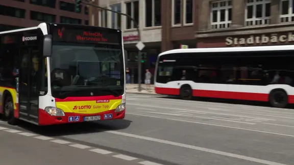 Linienbusse im Hamburger Stadtverkehr.