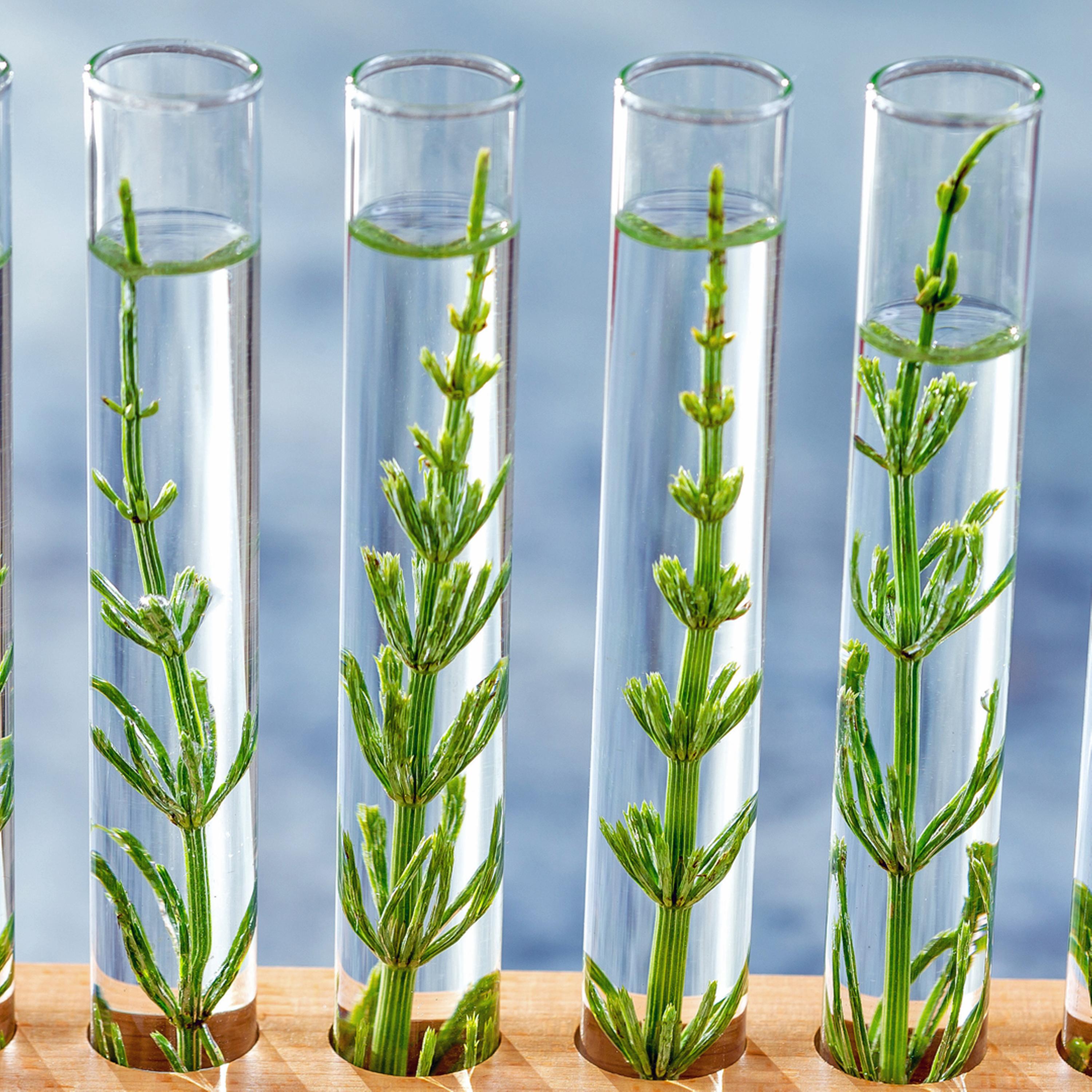 Synapsen – ein Wissenschaftspodcast