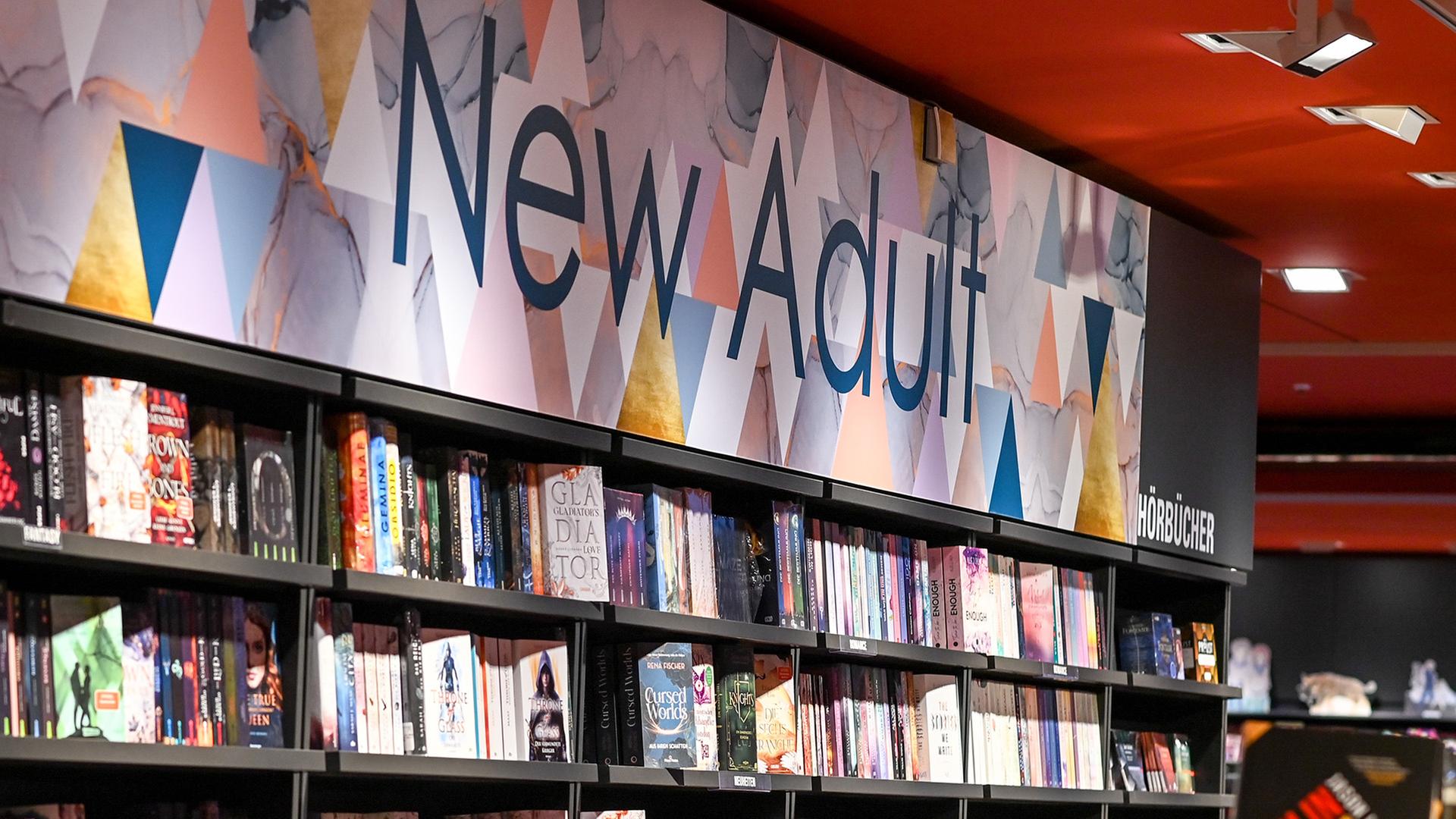 Hass, Intrigen, Inszenierung: Die dunkle Seite der New-Adult-Szene