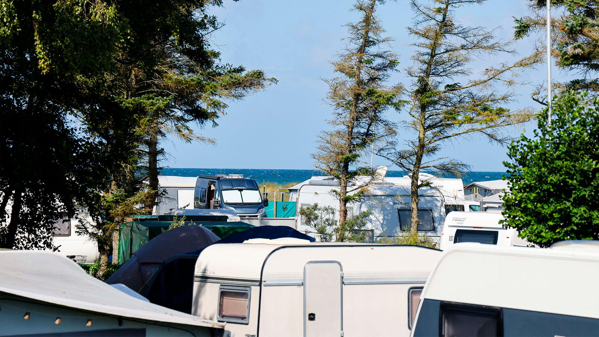 Mann in Dino-Kostüm spricht Kinder auf Campingplatz in Grube an