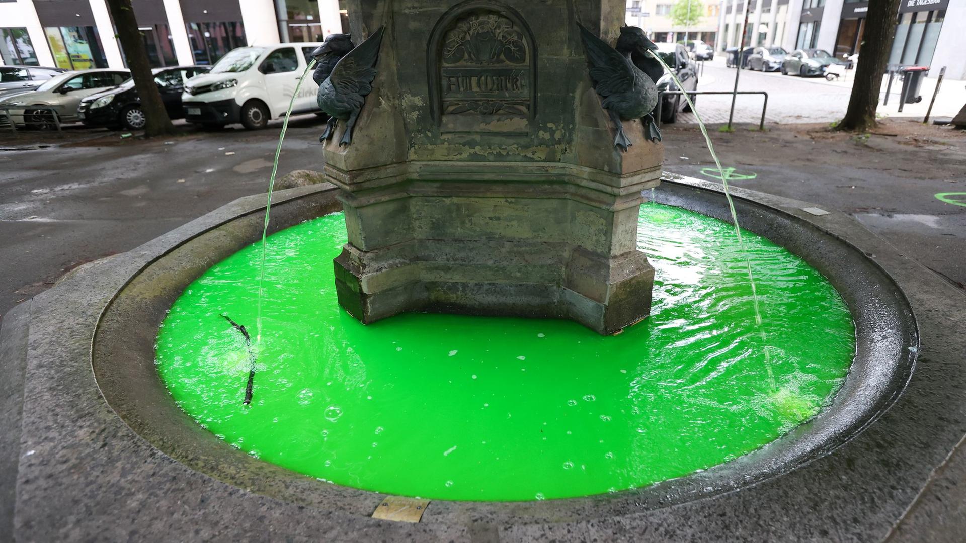 Grünes Wasser in Hamburger Brunnen: Was hat es damit auf sich?