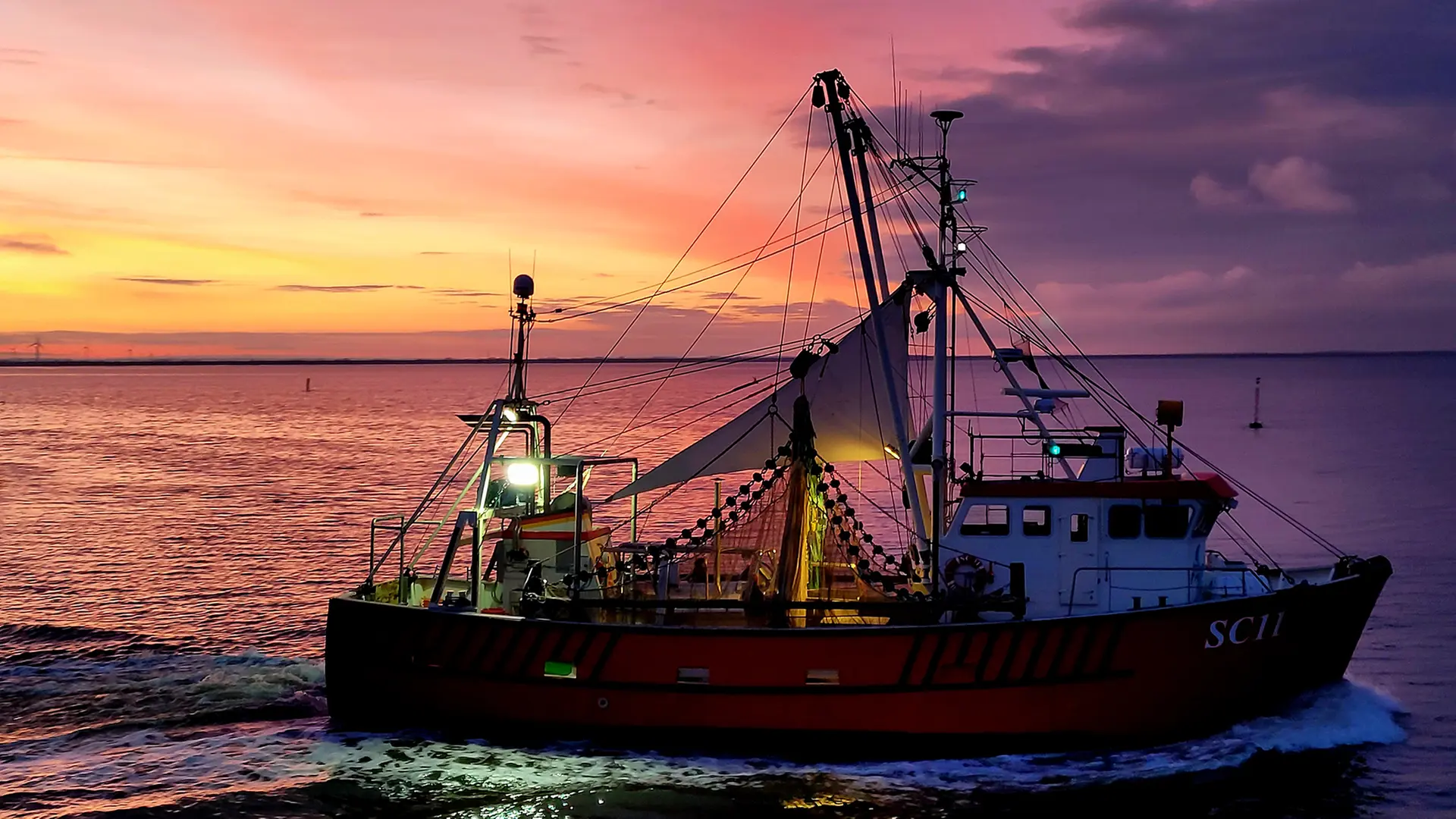 Droht der Krabbenfischerei im Wattenmeer das Ende?