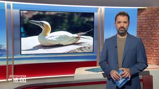 Moderator Johannes Avenarius