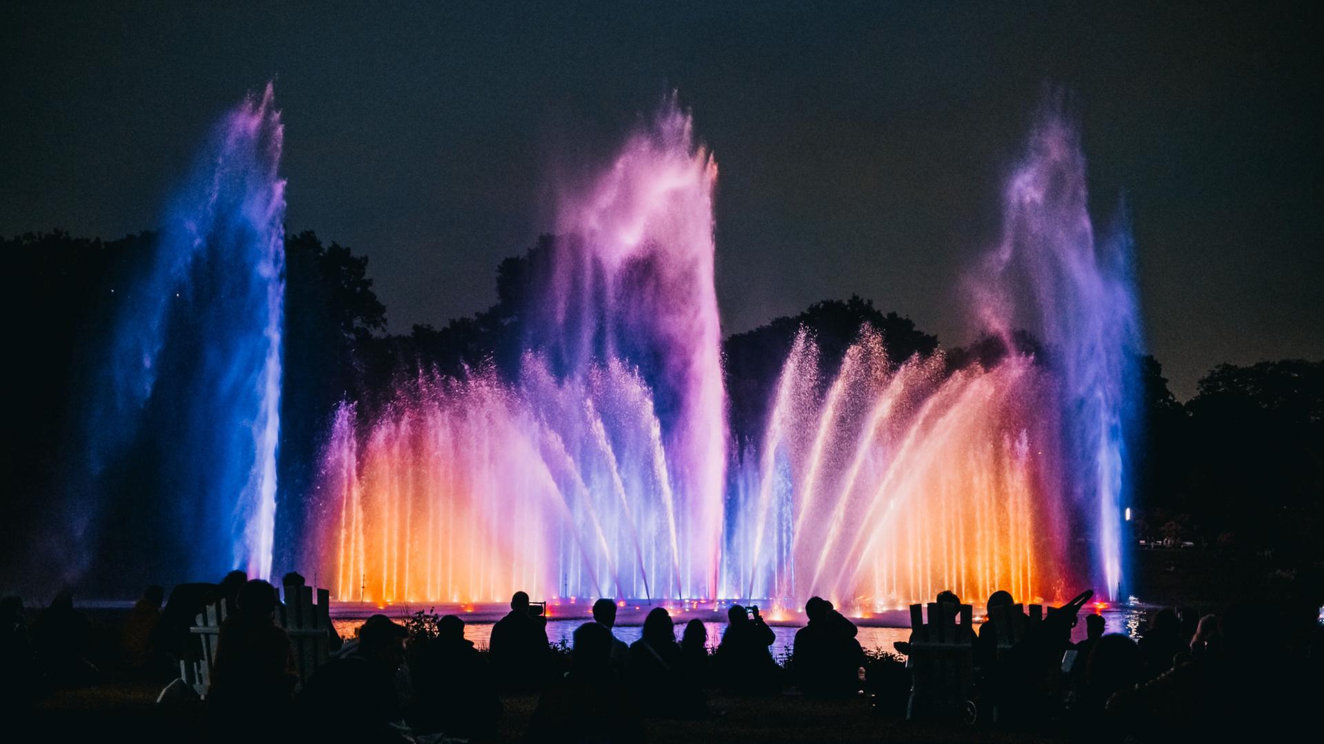 Planten un Blomen in Hamburg: Finanzierung des Kulturprogramms unsicher