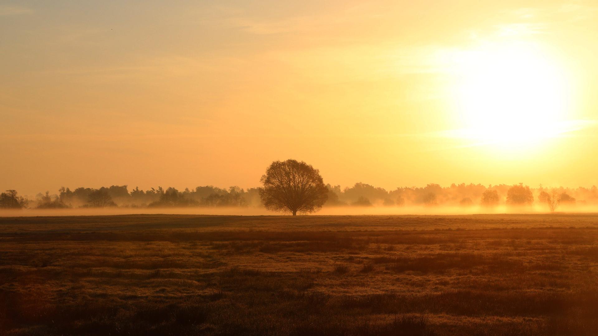 Frühlingswetter in MV: Warme Luftmassen bringen Saharastaub