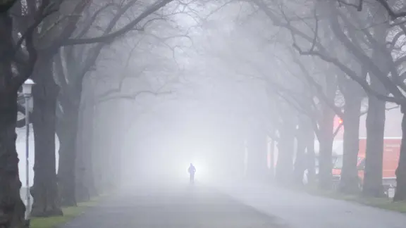 Ein Jogger auf einer nebeligen Allee