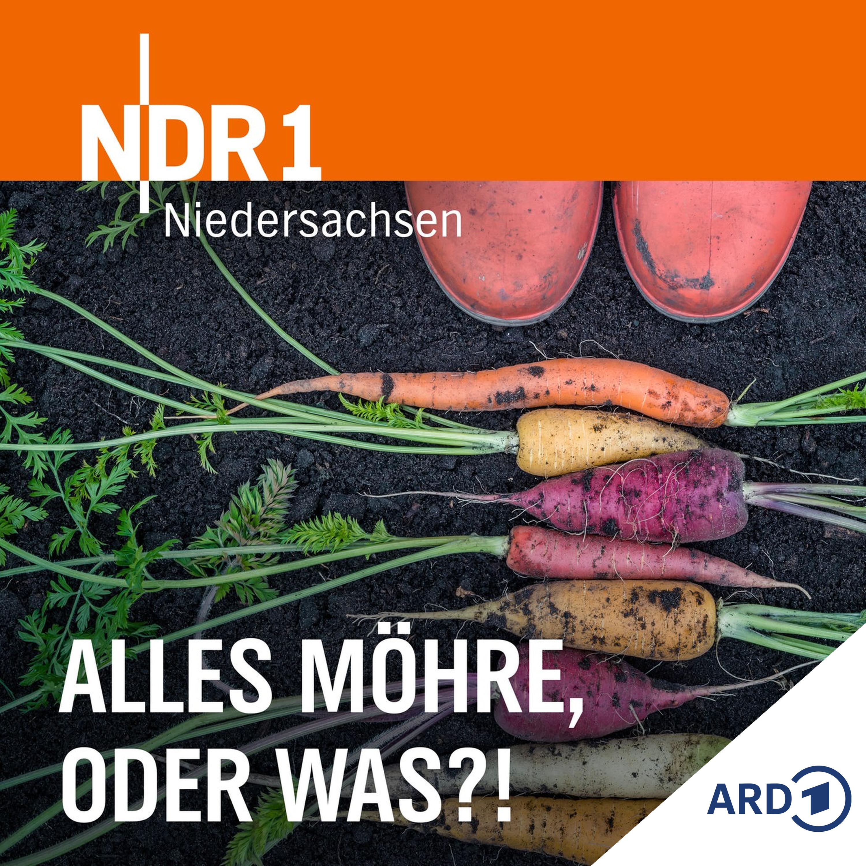 Im Grünen Bereich – Der NDR Gartenpodcast