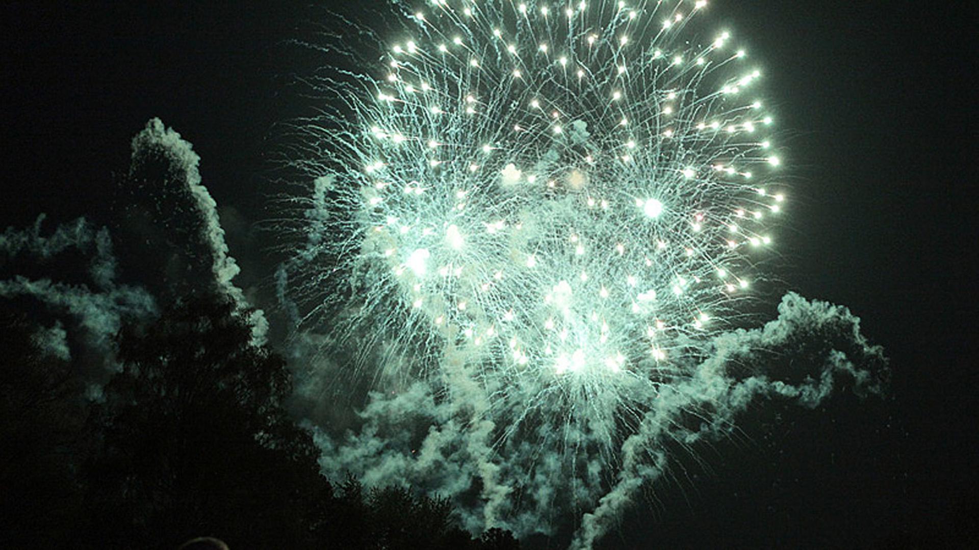 Feuerwerk in Rostock: Keine Ruhezonen zu Silvester