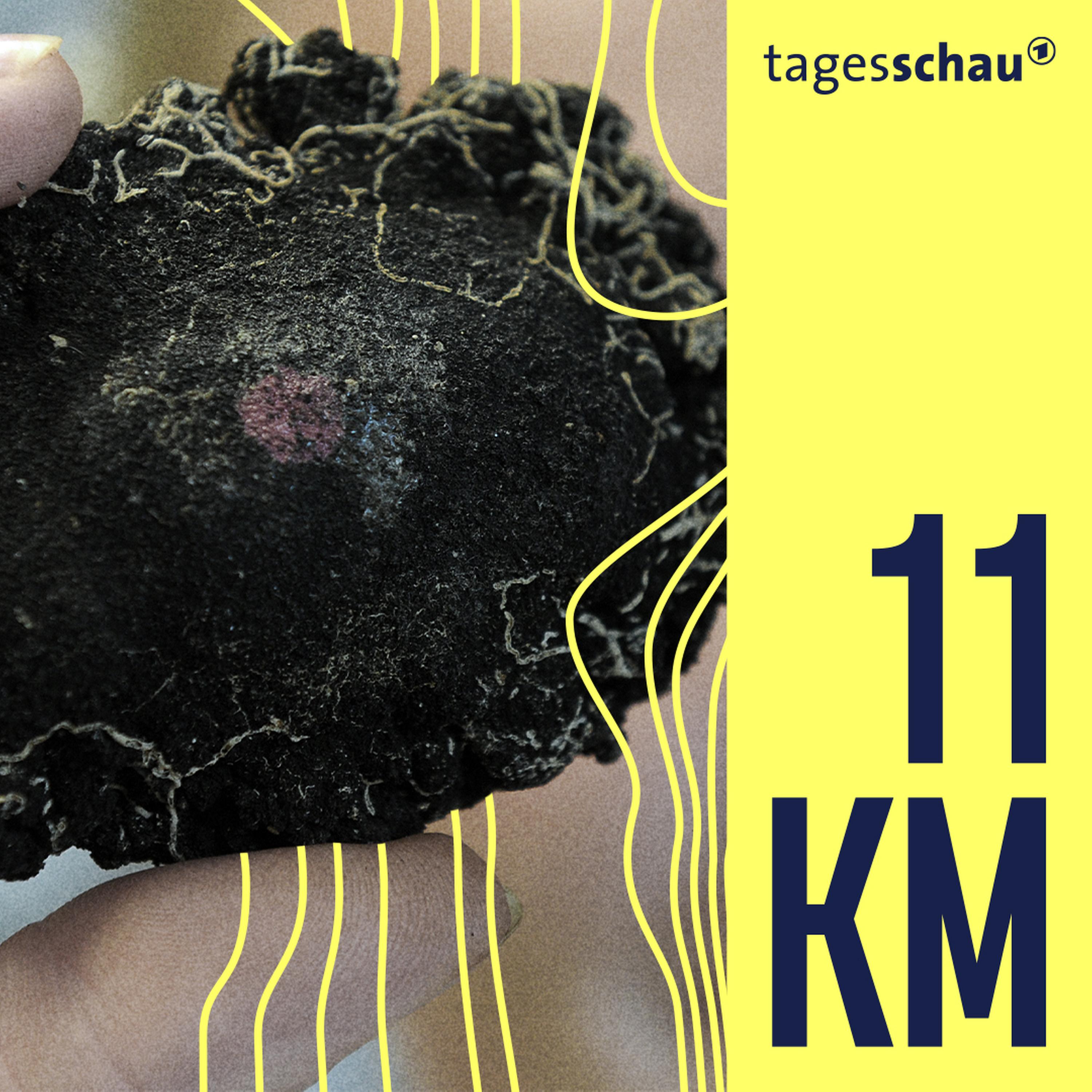 11KM: der tagesschau-Podcast